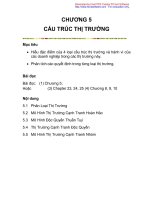 Chương 5: Cấu trúc thị trường docx