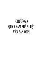 Chương 3: Quy phạm pháp luật và văn bản quy phạm pháp luật pdf