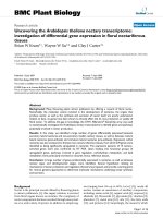 báo cáo khoa học: 