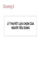 bài giảng kinh tế vi mô chương 3 doc