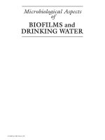 Microbiological Aspects of BIOFILMS and DRINKING WATER - Chapter 1 ppt