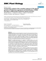 báo cáo khoa học: 