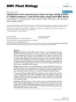 báo cáo khoa học: 