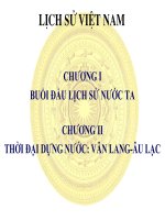 Bài giảng điện tử môn lịch sử: Ôn tập lịch sử Việt Nam pps