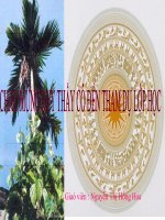 Bài giảng điện tử lịch sử: Những phát triển về kinh tế pptx