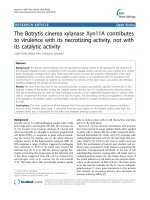 báo cáo khoa học: 