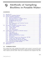 Microbiological Aspects of BIOFILMS and DRINKING WATER - Chapter 9 pptx