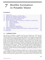 Microbiological Aspects of BIOFILMS and DRINKING WATER - Chapter 7 pptx