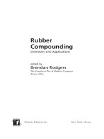 Rubber Compounding - Chemistry and Applications Part 1 docx