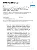 báo cáo khoa học: 