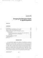 Structure and Function in Agroecosystem Design and Management - Chapter 16 docx