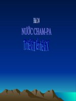 Bài giảng điện tử môn lịch sử: Kinh tế chăm pa ppt