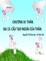 giáo án bồi dưỡng sinh học 6 cấu tạo trong của thân non