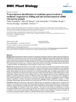 báo cáo khoa học: 