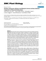 báo cáo khoa học: 