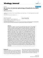 Báo cáo khoa học: 