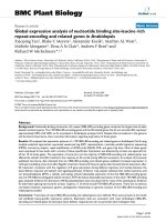 báo cáo khoa học: 