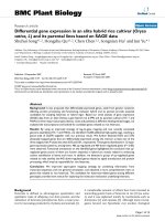 báo cáo khoa học: 