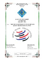 một số vấn đề pháp lý về cơ chế giải quyết tranh chấp của WTO