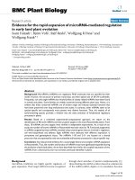 báo cáo khoa học: 