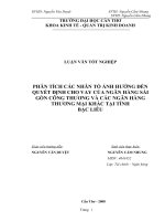 PHÂN TÍCH CÁC NHÂN TỐ ẢNH HƯỞNG ĐẾN QUYẾT ĐỊNH CHO VAY CỦA NGÂN HÀNG SÀI GÒN CÔNG THƯƠNG VÀ CÁC NGÂN HÀNG THƯƠNG MẠI KHÁC TẠI TỈNH  BẠC LIÊU
