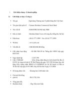 phân tích chiến lược kinh doanh của ngân hàng thương mại cổ phần hàng hải việt nam