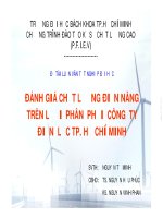ĐÁNH GIÁ CHẤT LƯỢNG ĐIỆN NĂNG TRÊN LƯỚI  PHÂN  PHỐI  CÔNG  TY  ĐIỆN  LỰC TP. HỒ CHÍ MINH