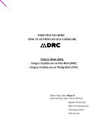 phân tích tài chính công ty DRC pps
