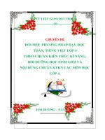 CHUYÊN ĐỀ: ĐỔI MỚI  PHƯƠNG PHÁP DẠY HỌC TOÁN, TIẾNG VIỆT LỚP 4 THEO CHUẨN KIẾN THỨC KĨ NĂNG,  BỒI DƯỠNG HỌC SINH GIỎI VÀ NỘI DUNG CHUẨN KTKN CÁC MÔN HỌC LỚP 4.