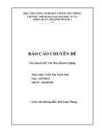 văn hóa doanh nghiệp của tập đoàn bưu chính viễn thông việt nam