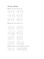 Bài tập toán cao cấp-Chương 2 ppsx