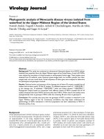 Báo cáo khoa học: 