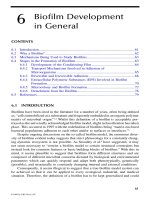 Microbiological Aspects of BIOFILMS and DRINKING WATER - Chapter 6 doc