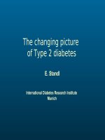 presentation eberhard standl changing picture type 2 warsaw 2006