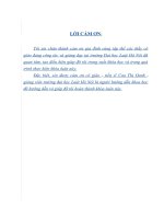 tội truyền bá văn hóa phẩm đồi trụy - một số vấn đề lý luận và thực tiễn