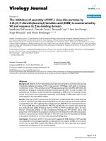 Báo cáo khoa học: 