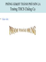 Bài giảng điện tử lịch sử: Kháng chiến chống xâm lược của hai bà trưng ppt