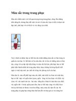 Màu sắc trong trang phục pps