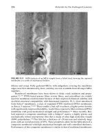 Materials for the Hydrogen Economy (2009) Part 11 ppsx