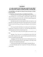 Thực tế tổ chức công tác kế toán bán hàng và xác định kết quả kinh doanh tại công ty cổ phần xuất nhập khẩu vật tư nông nghiệp và nông sản