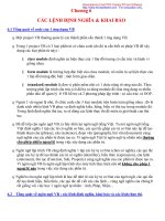 Chương 6: Các lệnh định nghĩa và khai báo docx