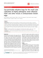 Báo cáo khoa học: 