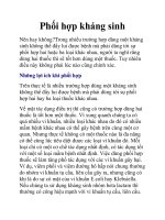 Phối hợp kháng sinh potx