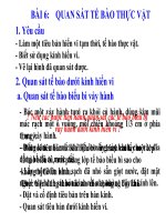 giáo án bồi dưỡng sinh học 6 quan sát tế bào thực vật (2)