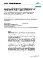 báo cáo khoa học: 