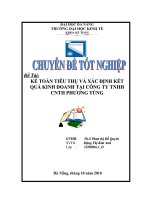 kế toán tiêu thụ và xác định kết quả kinh doanh tại công ty tnhh công nghệ tin học phương tùng