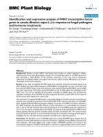 báo cáo khoa học: 