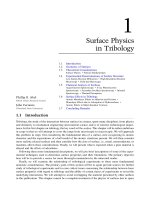 Modern Tribology Handbook 2010 Part 1 pps