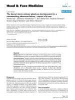 báo cáo khoa học: 