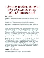 CÂY HOA HƯỚNG DƯƠNG TẤT CẢ CÁC BỘ PHẬN ÐỀU LÀ THUỐC QUÝ ppsx
